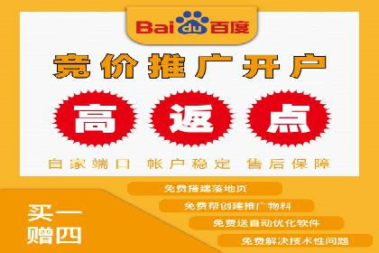 案例分析：竞价推广助力企业打造爆款产品
